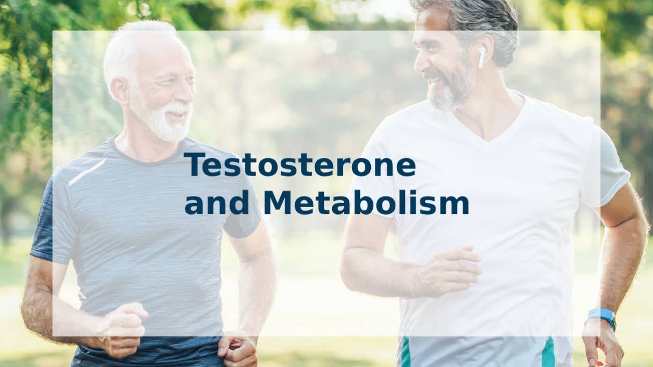 Testosterone and Metabolism